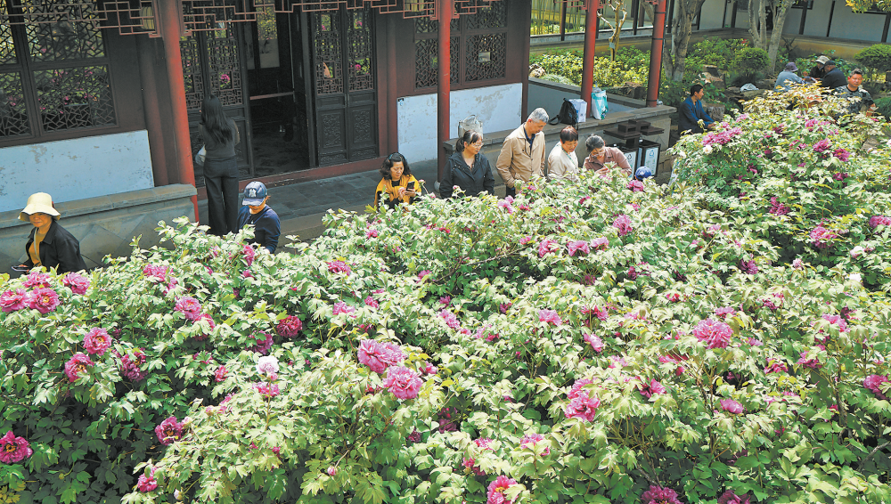 女人与公狍交酡女免费