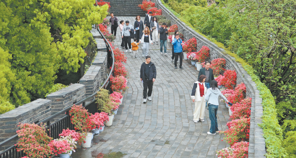 女人与公狍交酡女免费