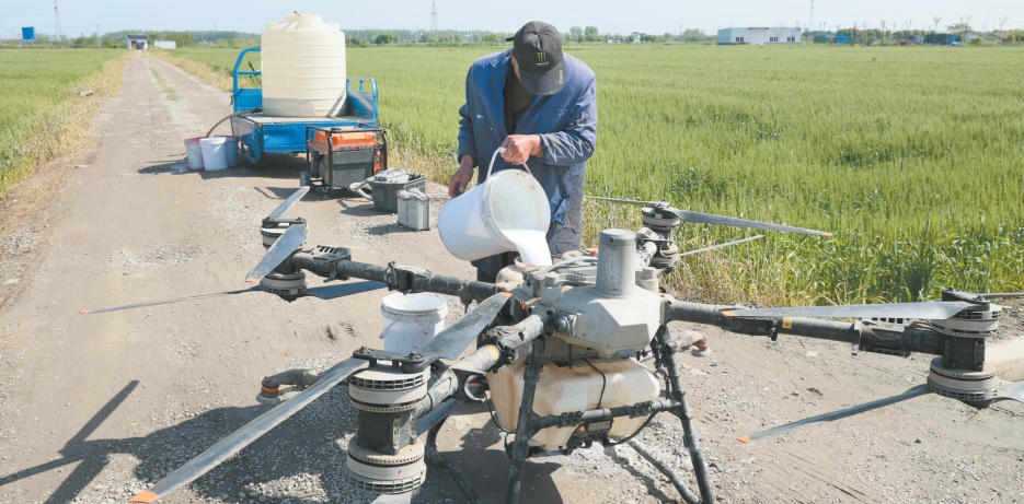 女人与公狍交酡女免费