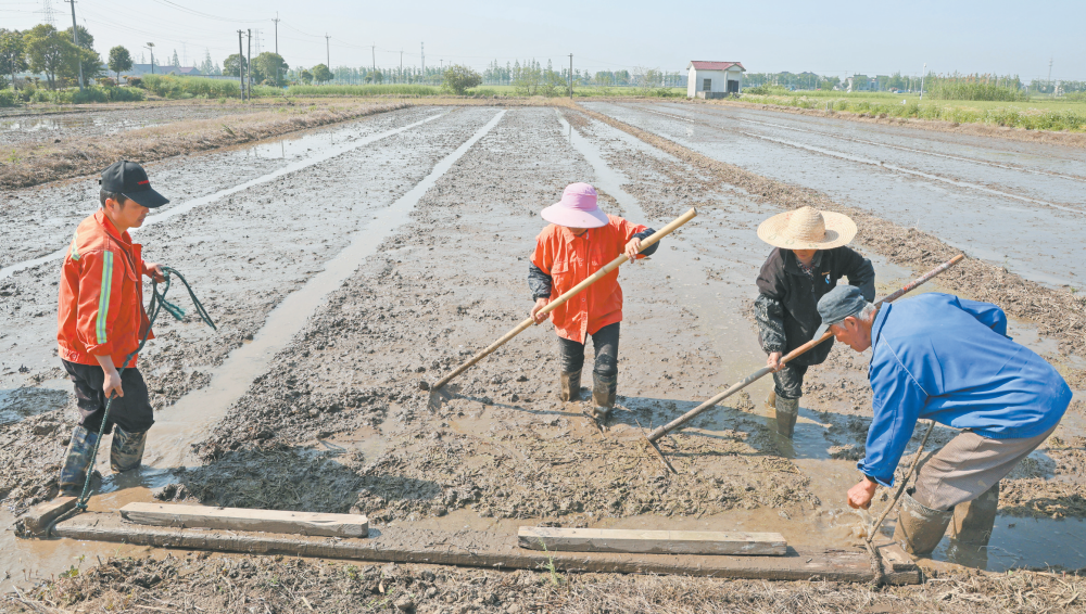 女人与公狍交酡女免费