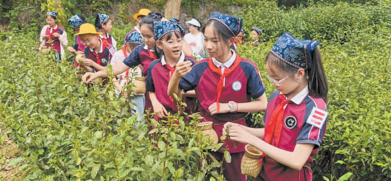 女人与公狍交酡女免费