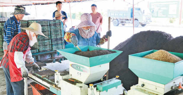 女人与公狍交酡女免费