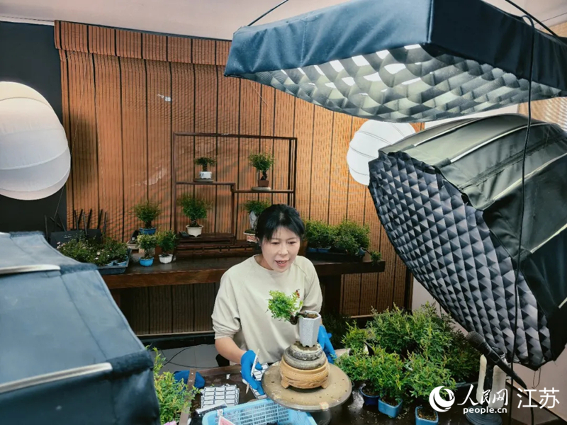 恒杨盆栽花卉合作社主播在直播带货。 人民网记者 鞠峰摄