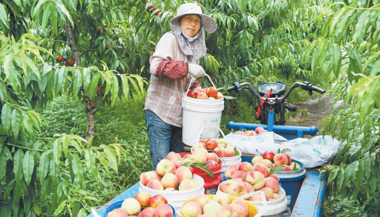 女人与公狍交酡女免费
