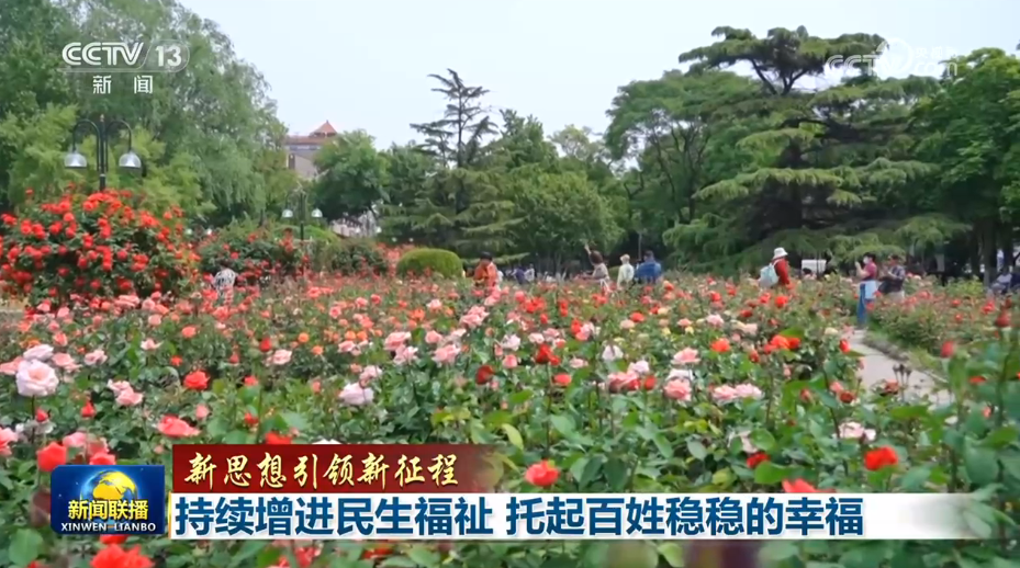 女人与公狍交酡女免费