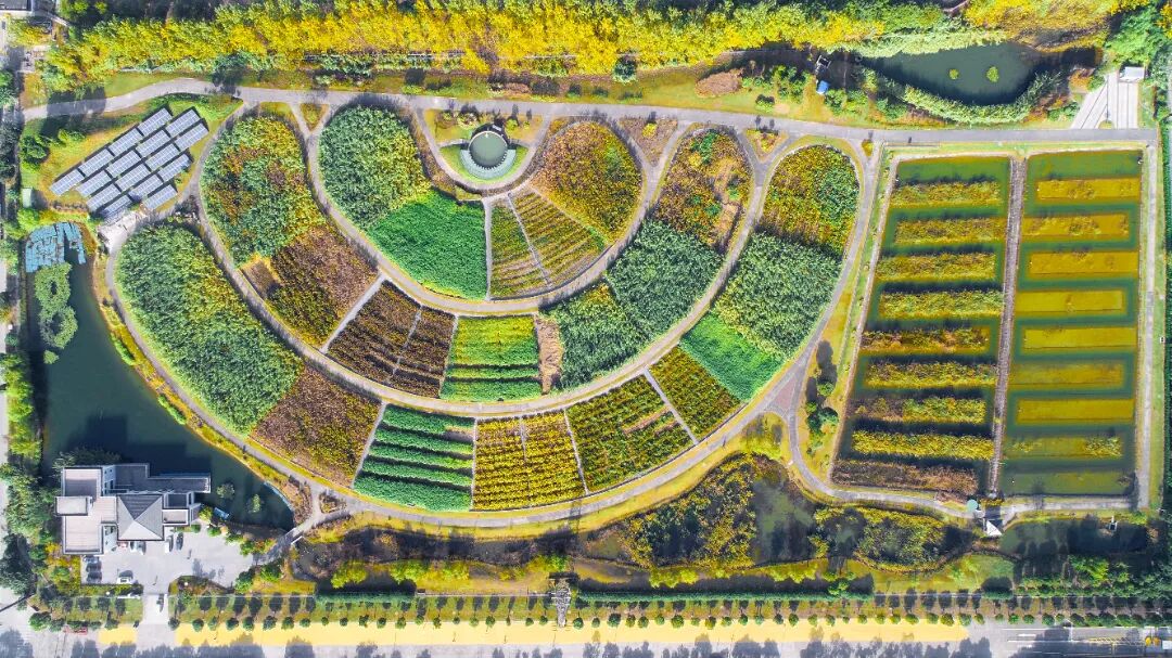 多彩湿地(常熟市新材料产业园).JPG