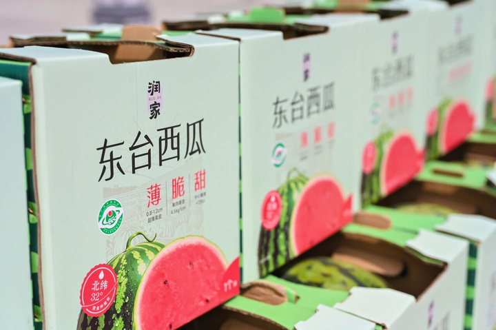 女人与公狍交酡女免费