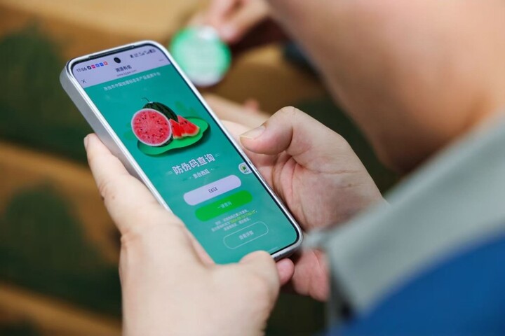 女人与公狍交酡女免费