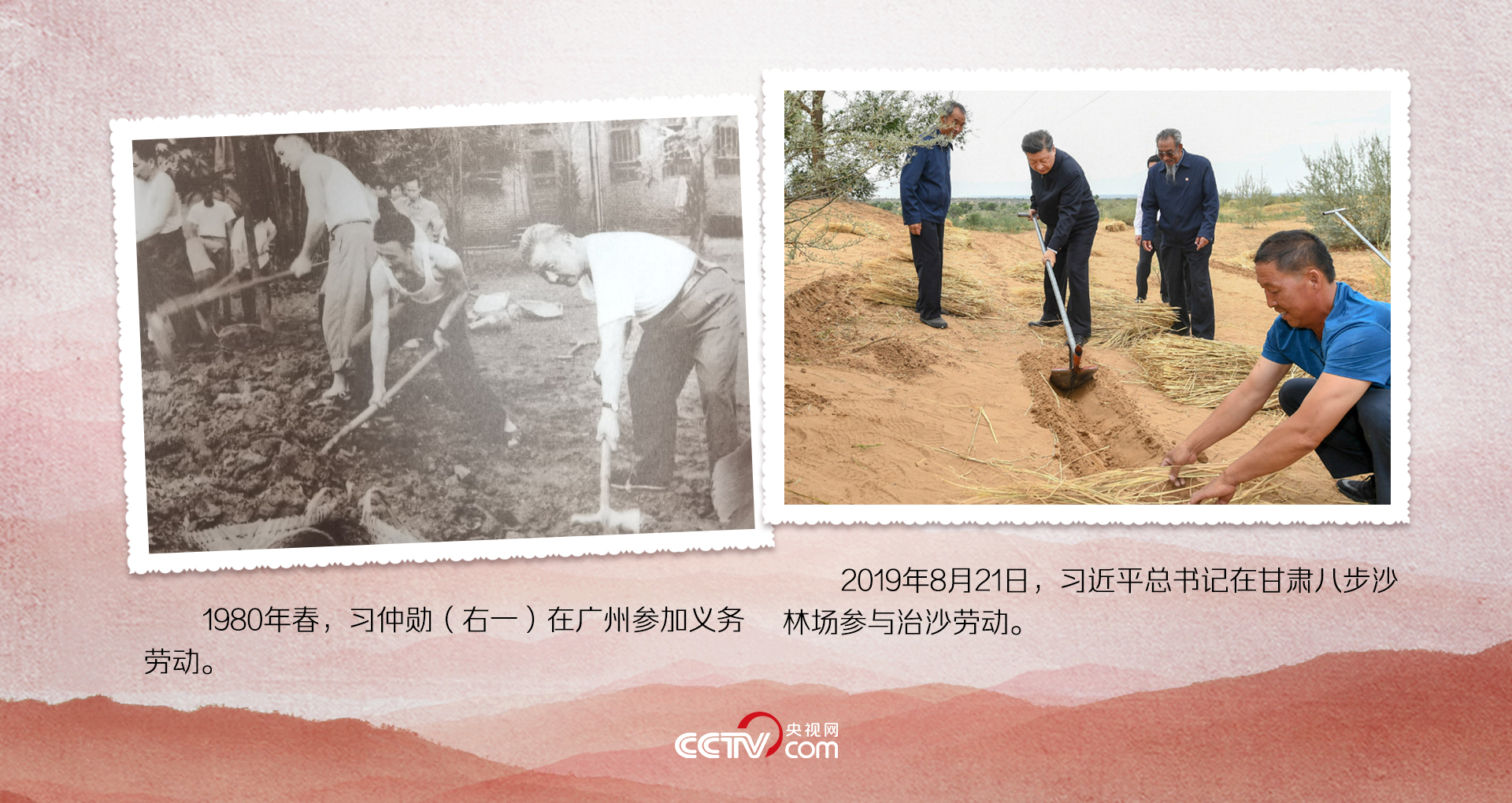 女人与公狍交酡女免费