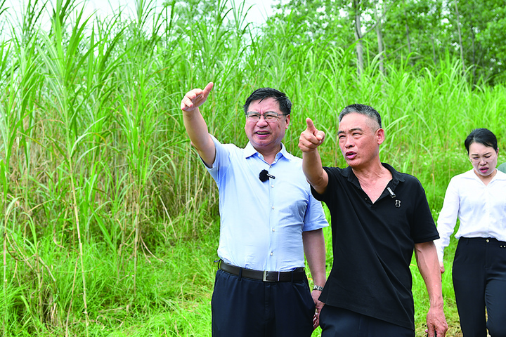 女人与公狍交酡女免费