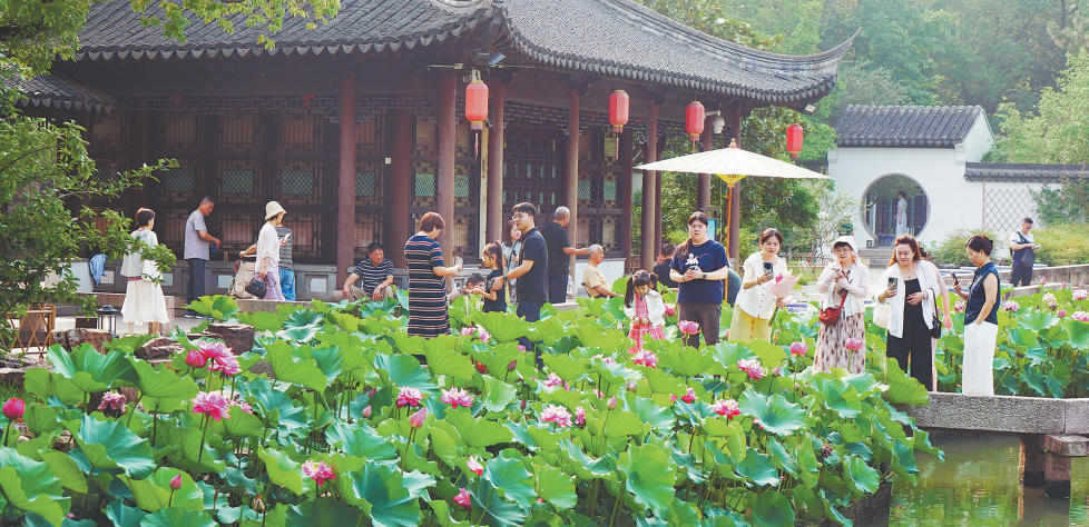 女人与公狍交酡女免费