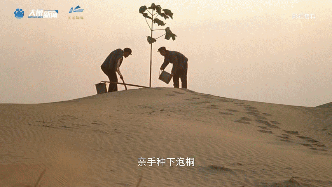 女人与公狍交酡女免费