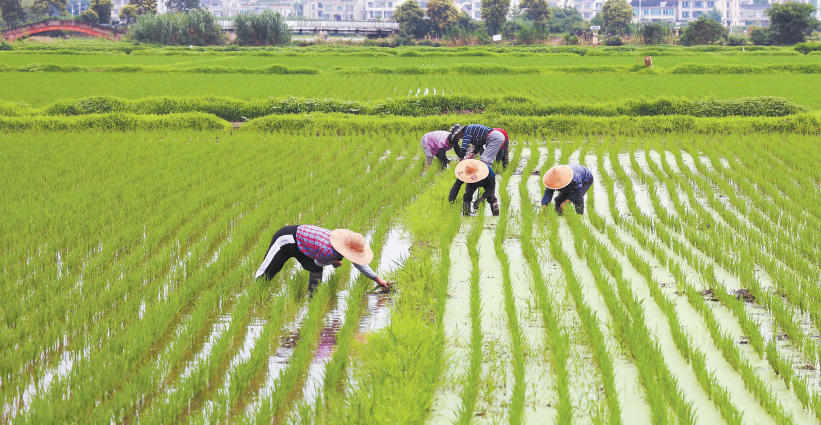 女人与公狍交酡女免费