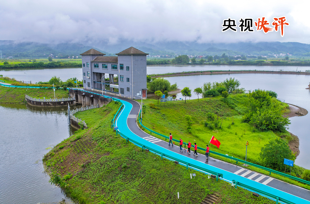 女人与公狍交酡女免费