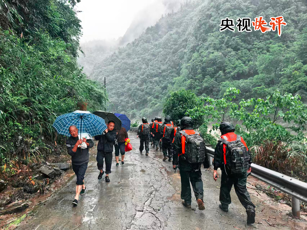 女人与公狍交酡女免费